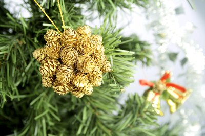 Pine branches