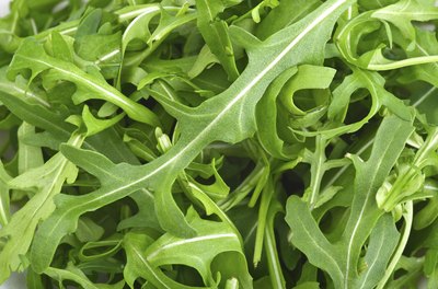 A close-up of arugula leaves.