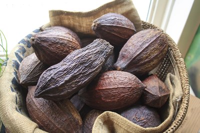 Close-up of coco beans in bag