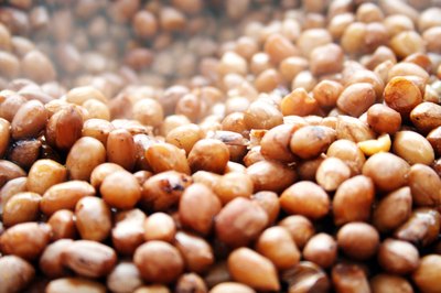 Sunflower seeds are not considered a tree nut and are used in the place of peanuts or other tree nuts in recipes.