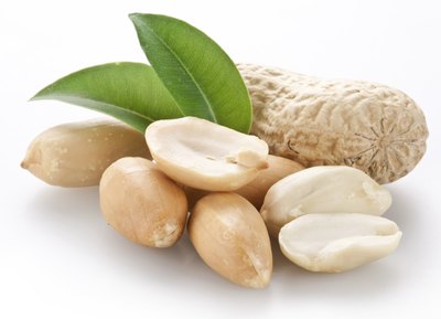 Peanuts are an allergen food.