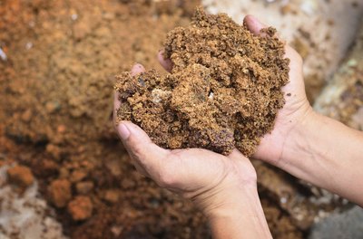 handful of compost