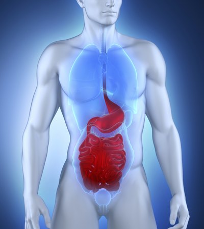 Gastroparesis occurs when the stomach contents do not empty in a timely manner