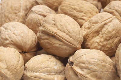 Walnuts contain poly-unsaturated fats.