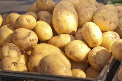 Large pile of russet potatoes with sun shining on them.