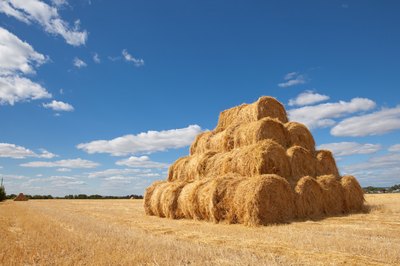 Straw can protect new grass seed