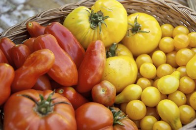 Basket filled with red and yellow tomatoes.