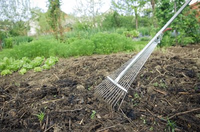 Fertilization by spreading compost over the ground.