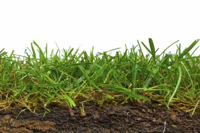 Soil and grass.