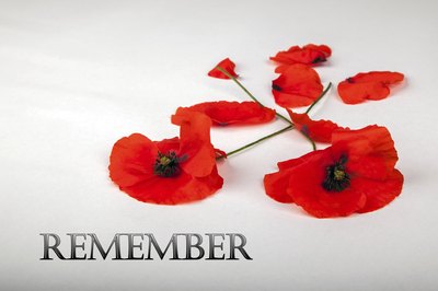 Wearing a red poppy honors all those who have served.
