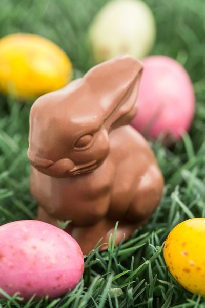 Chocolate Easter Bunny
