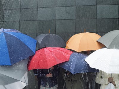 Group of people standing under umbrellas in rain