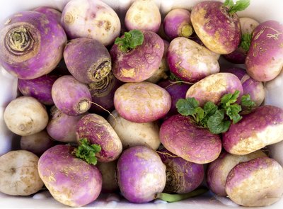 Large pile of turnips.