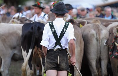 Herdsman with Cattle
