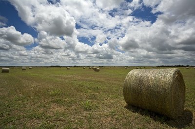 the Great Plains of North America