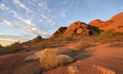 Arizona has opals and turquoise.