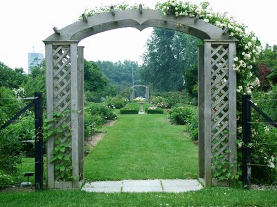 Trellis