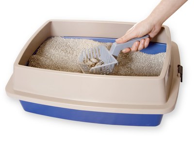 A scoop picking up litter from a litter box