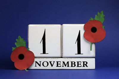 Veterans day poppies.