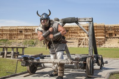 Whether you're dressing as a viking, pirate or Santa, a custom fake beard will make the costume.