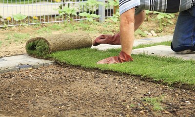 A man is unrolling sod.