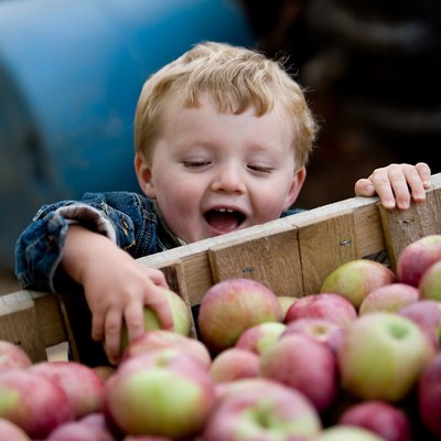Young boy reaches for apple in crate.