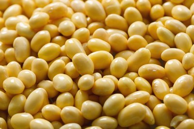 Close up of soy beans