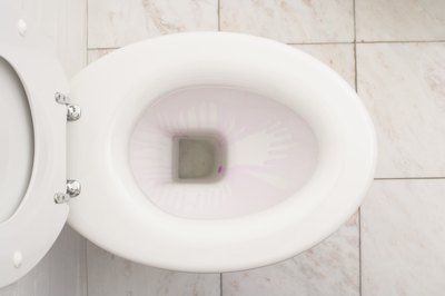 Flushing toilet