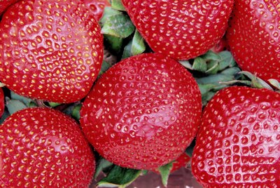 Strawberries