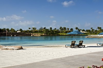 Dolphin Pool on Paradise Island, Bahamas