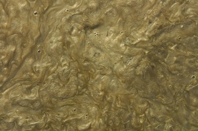 Soil pollution