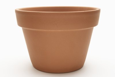 Terra-cotta pot