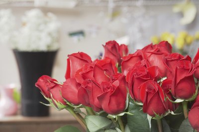 roses