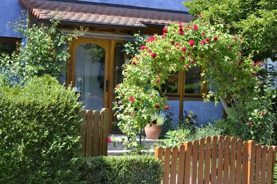 An arched trellis of climbing roses at the entrance of a garden.