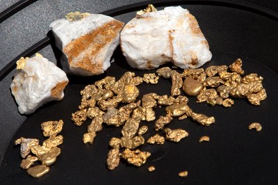 Gold nuggets on display, Jamestown, CA.