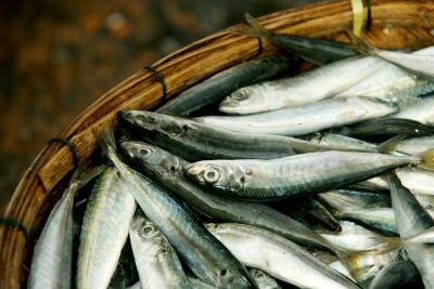 A basket full of small fish.