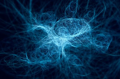 3D of nerves.