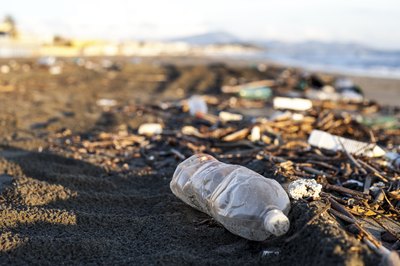 Plastic bottle litter on the shoreline
