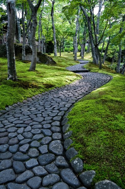 Established moss requires minimal maintenance.