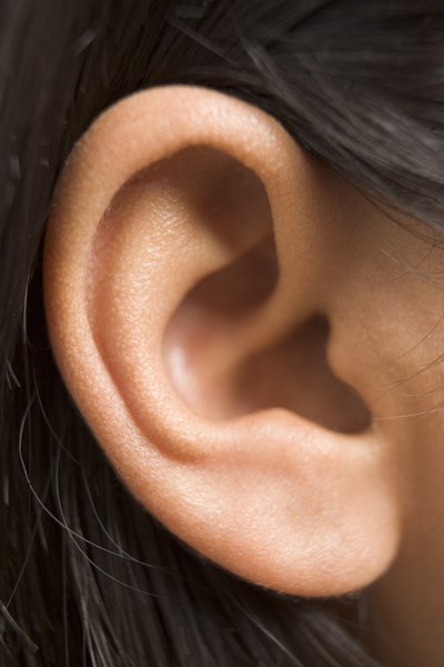 human ear