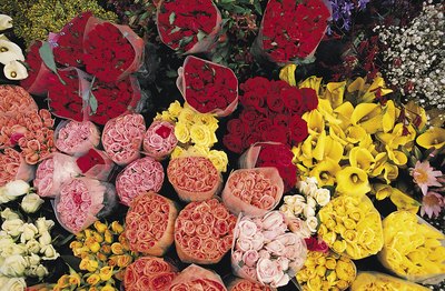 choose blooms that are fragrant like roses