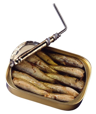 Can of sardines