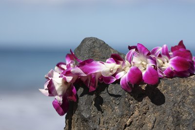 Fresh flower Hawaiian lei resting on rock.