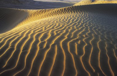 sahara desert