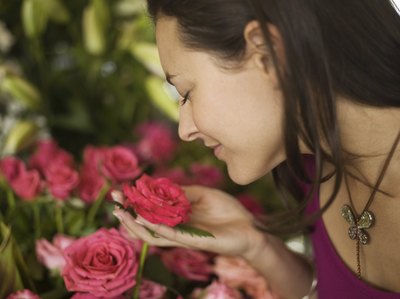 Send two dozen red roses to a woman tuning 24, or purchase a single giant teddy bear for that first birthday girl.