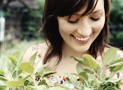 How Much Sage Extract Should Be Taken for Excessive Sweating?