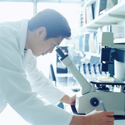 Researchers are uncertain as to why diverticulas begins.