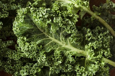 Raw kale leaves.