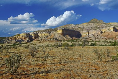New Mexico desert