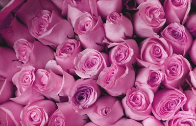 Celebrate your love for friends, family and God on Valentine's Day.